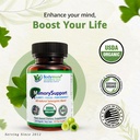 bodymune-memorysupport-brain-health-form-2.jpg