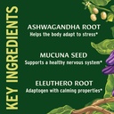 banyan-botanicals-organic-adrenal-nouris-4.jpg