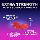 joint-support-supplement-extra-strength--5.jpg