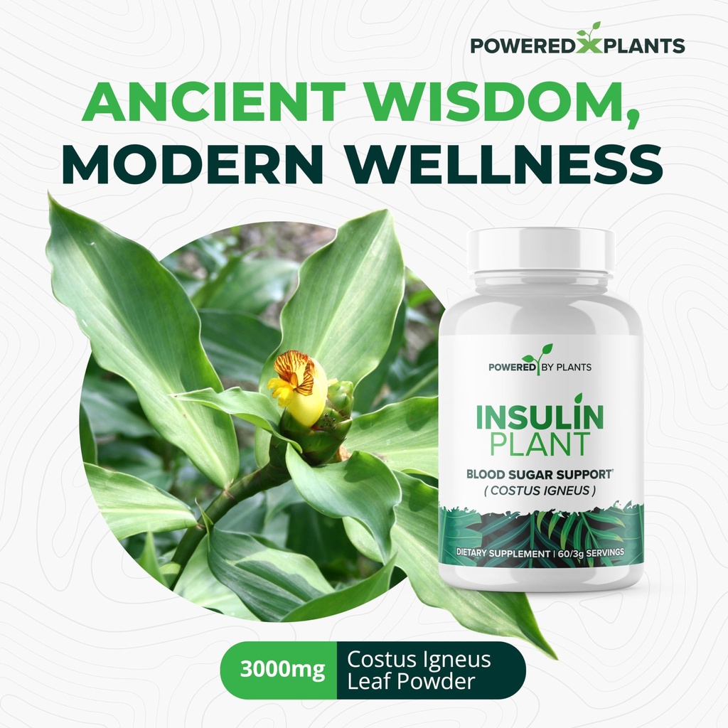 insulin-plant-capsules-3000mg-costus-ign-4.jpg
