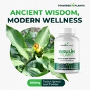 insulin-plant-capsules-3000mg-costus-ign-4.jpg