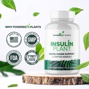 insulin-plant-capsules-3000mg-costus-ign-6.jpg