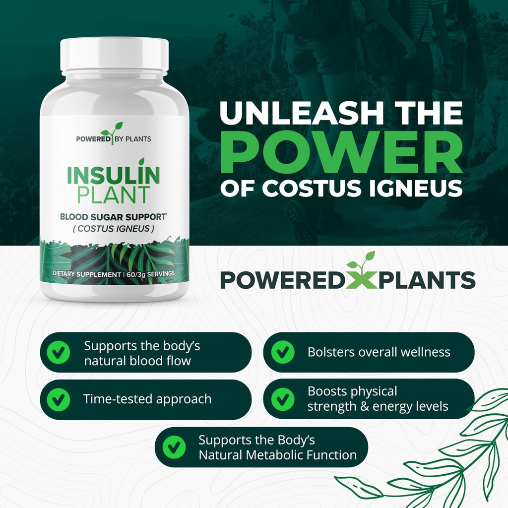 insulin-plant-capsules-3000mg-costus-ign-3.jpg
