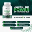 insulin-plant-capsules-3000mg-costus-ign-3.jpg