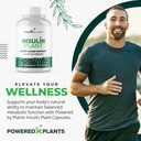 insulin-plant-capsules-3000mg-costus-ign-2.jpg