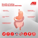 digestive-multi-enzyme-ultra-blend-suppo-3.jpg