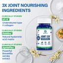 biotrust-joint-33x-advanced-3-in-1-joint-4.jpg