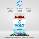 stem-cell-supplements-500mg-180-cap-natu-5.jpg