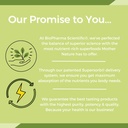 nanogreens-probiotic-superfood-powder-gr-5.jpg