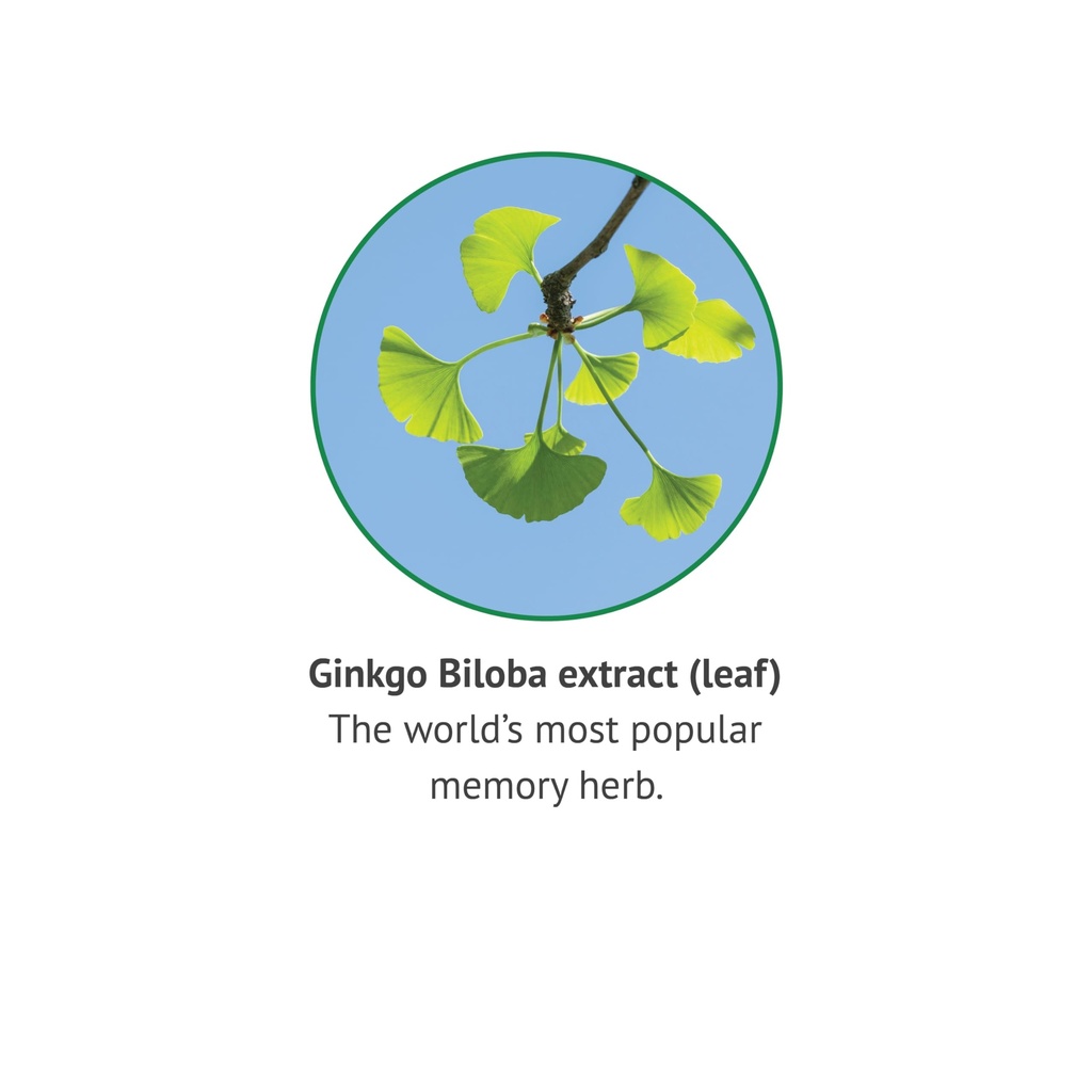 botanic-choice-ginkgo-biloba-leaf-liquid-4.jpg