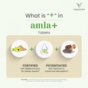 vedistry-amla-supplement-1100mg-indian-g-4.jpg