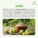 vedistry-amla-supplement-1100mg-indian-g-2.jpg