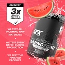 efx-sports-aminozorb-elite-21-ph-correct-4.jpg