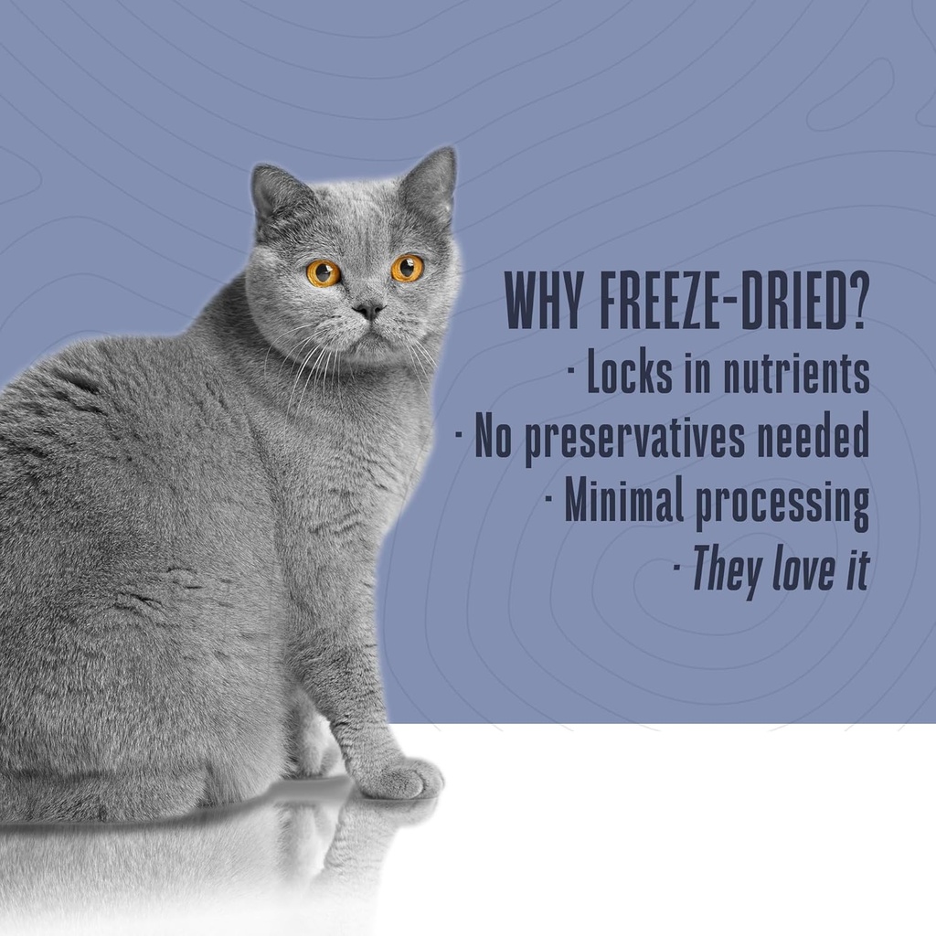 whole-life-cat-urinary-supplement-feline-5.jpg