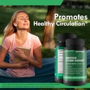 nervous-system-savior-advanced-nerve-sup-5.jpg