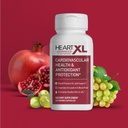 heartxl-advanced-heart-health-supplement-5.jpg