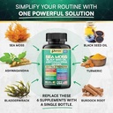 metabolic-balance-bundle-sea-moss-16-in--5.jpg