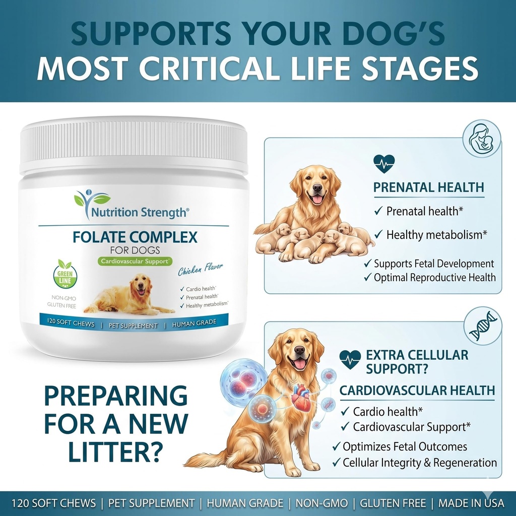 folate-for-dogs-to-promote-cardiovascula-5.jpg