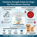 folate-for-dogs-to-promote-cardiovascula-2.jpg