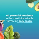 multiabsorb-daily-essential-multi-nutrie-3.jpg