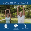 spoonful-omega-3-fish-oil-enteric-coated-2.jpg