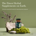 gaia-herbs-adrenal-health-daily-support--4.jpg