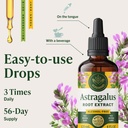herbamama-astragalus-root-tincture-vegan-6.jpg