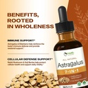 astragalus-root-extract-drops-for-immune-2.jpg