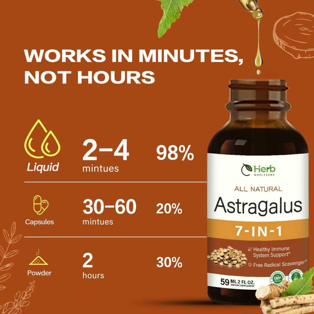 astragalus-root-extract-drops-for-immune-4.jpg