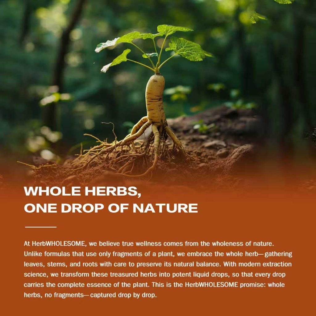 astragalus-root-extract-drops-for-immune-6.jpg