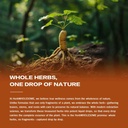 astragalus-root-extract-drops-for-immune-6.jpg