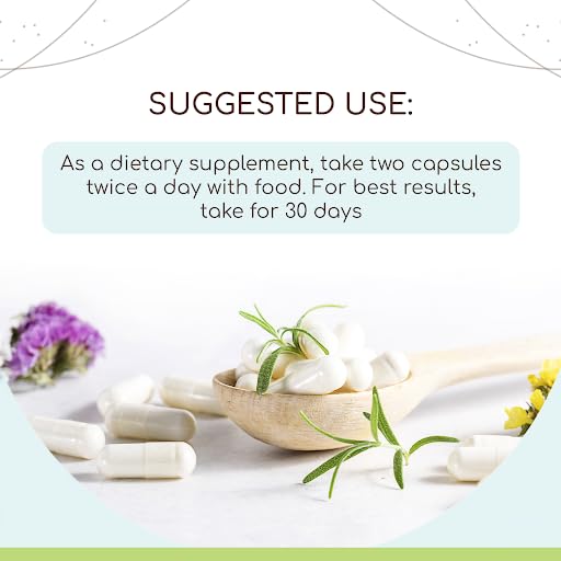astragalus-60-capsules-500-mg-concentrat-2.jpg