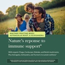 gaia-herbs-everyday-immune-mushroom-herb-5.jpg