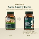 gaia-herbs-everyday-immune-mushroom-herb-6.jpg