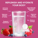 venture-pal-sugar-free-electrolyte-powde-5.jpg