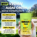 vegan-omega-3-vitamin-b12-gummy-algae-om-6.jpg
