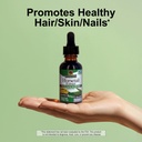 nature-s-answer-horsetail-herb-promotes--4.jpg