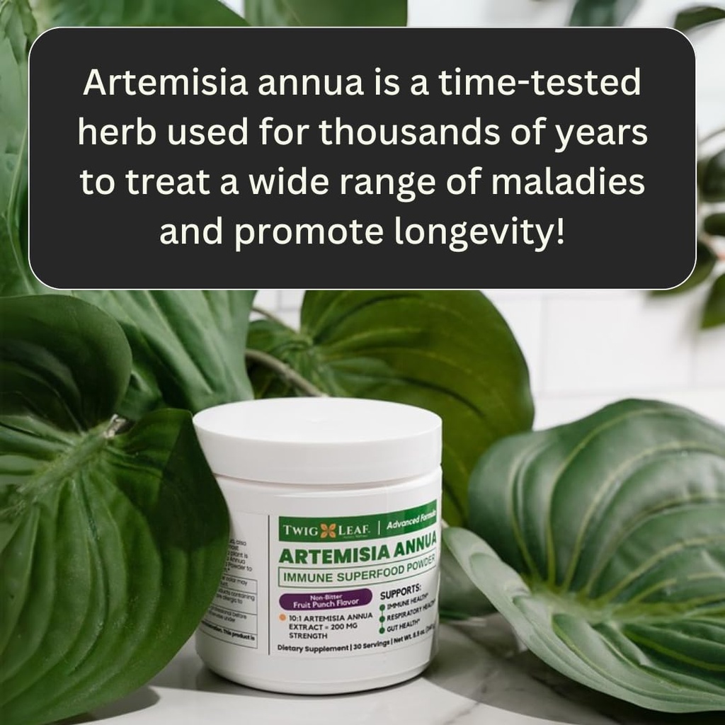 artemisia-annua-sweet-wormwood-herbal-po-4.jpg