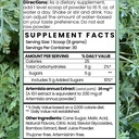 artemisia-annua-sweet-wormwood-herbal-po-2.jpg