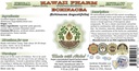 echinacea-alcohol-free-liquid-extract-ec-2.jpg