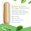 cell-nutrients-promotes-cell-and-membran-5.jpg