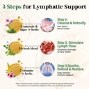migcopat-26-in-1-lymphatic-drainage-drop-6.jpg