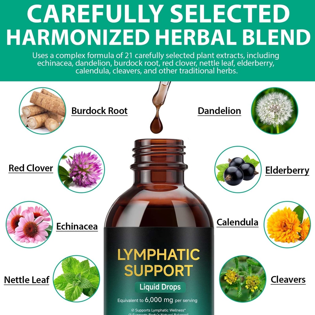 lymphatic-drainage-drops-for-lymphatic-c-4.jpg