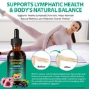lymphatic-drainage-drops-for-lymphatic-c-6.jpg