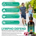 lymphatic-drainage-drops-for-lymphatic-c-3.jpg