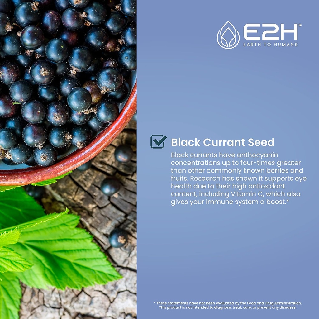 e2h-natural-black-currant-extract-cold-p-3.jpg