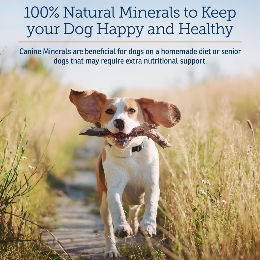 rx-vitamins-canine-minerals-essential-mi-2.jpg