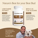 real-mushrooms-lion-s-mane-pet-mushroom--5.jpg