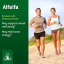 graminex-alfalfa-tablets---non-gmo-green-5.jpg