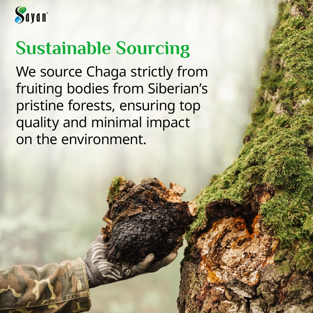 sayan-siberian-chaga-mushroom-extract-90-5.jpg